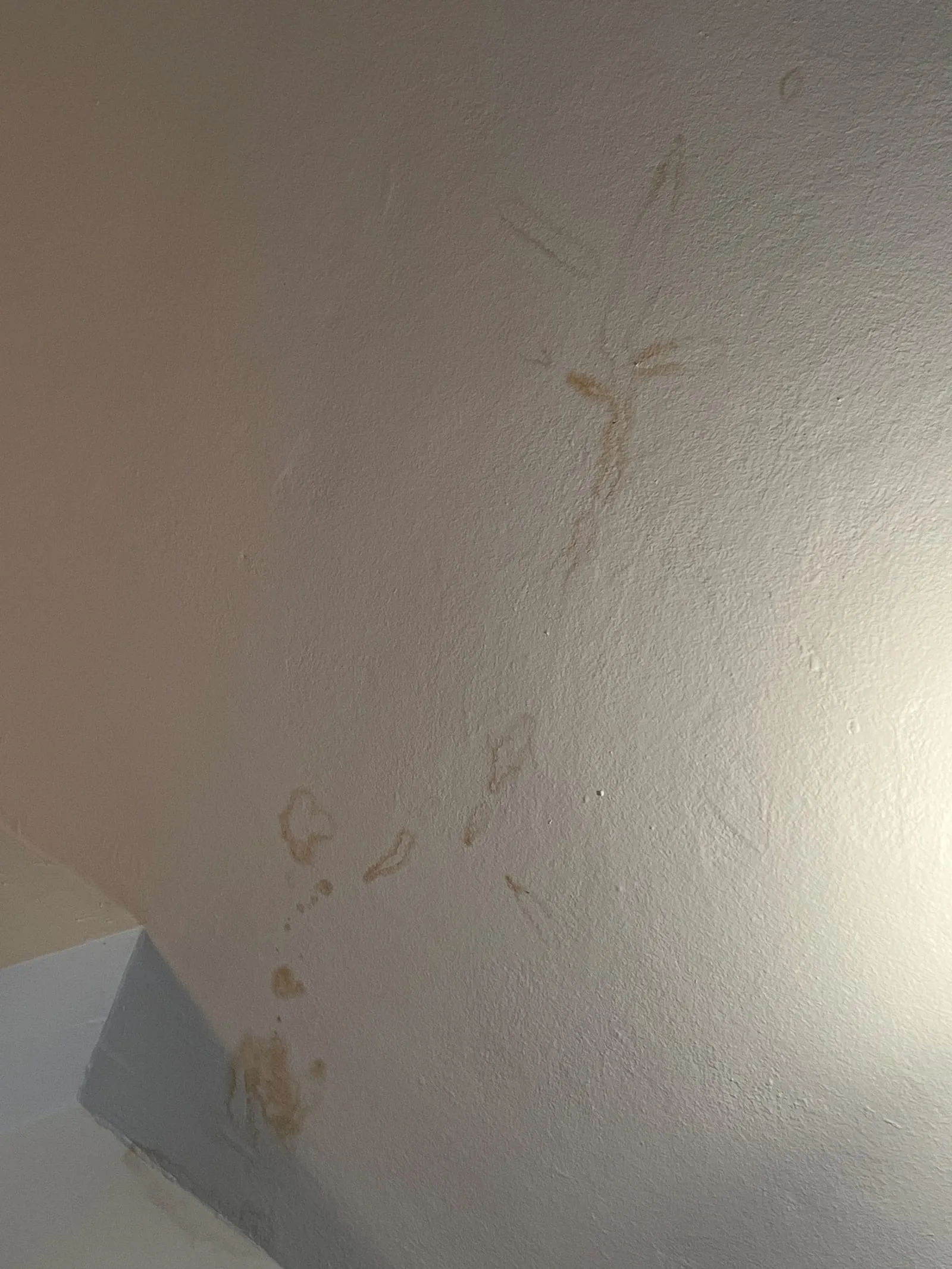 Dégât des eaux visible au plafond d'un appartement avec traces d'humidité